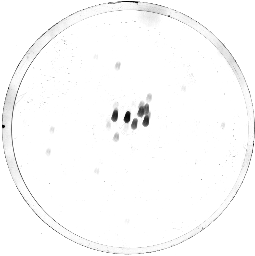 Plate preview