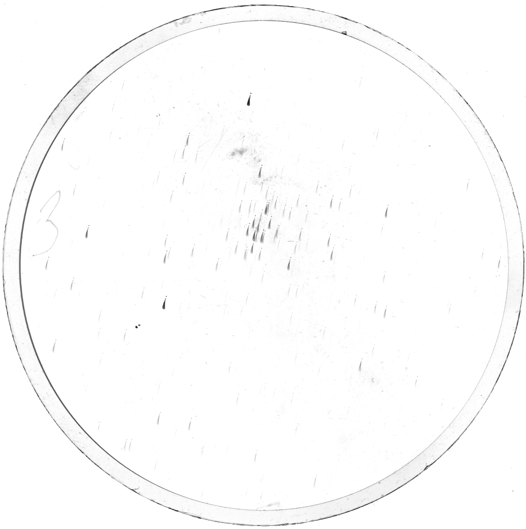 Plate preview