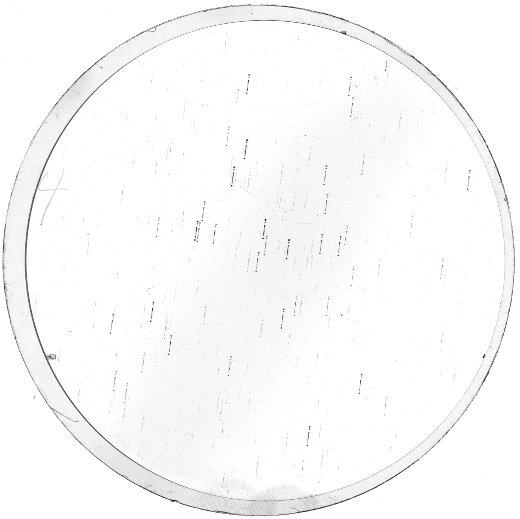 Plate preview