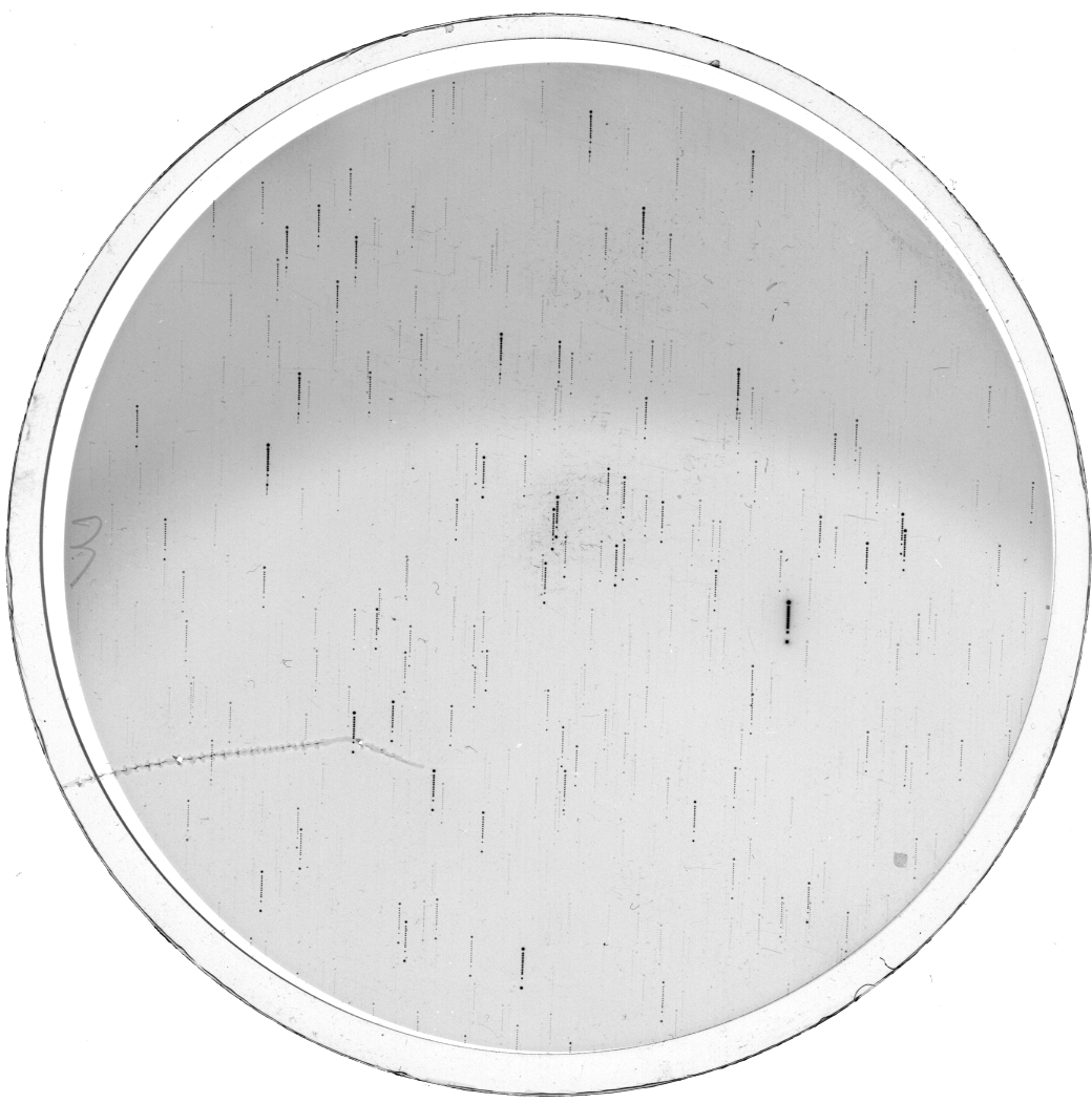 Plate preview