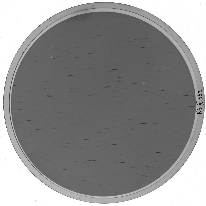 Plate preview