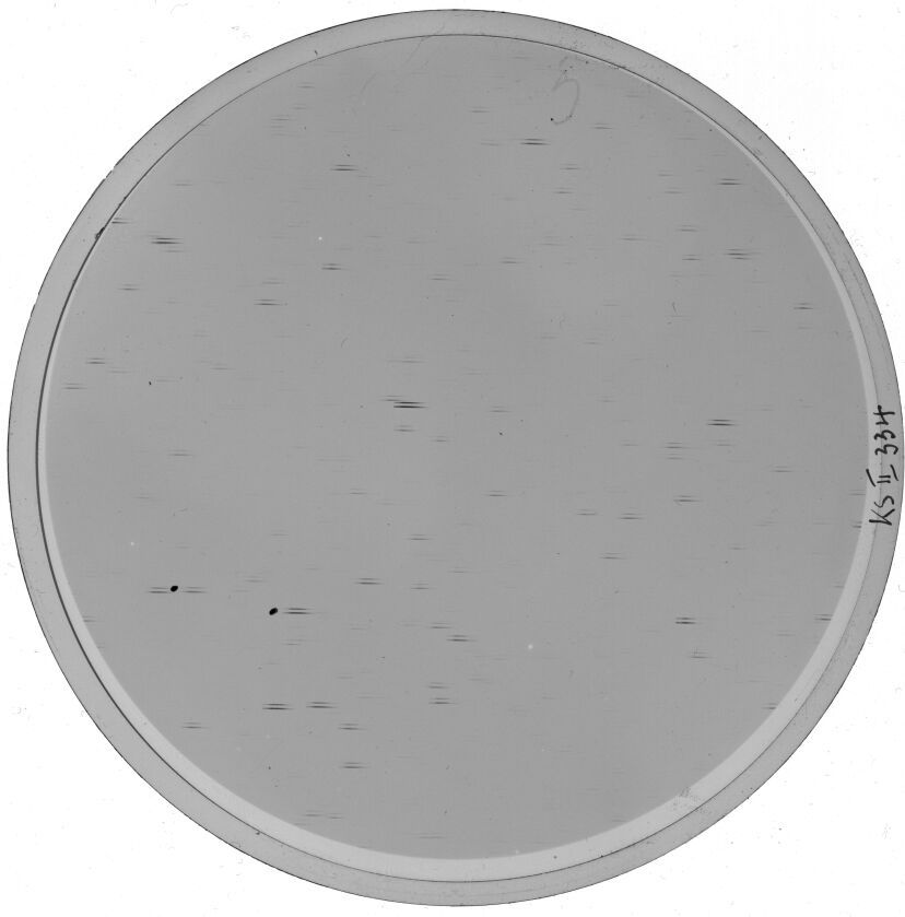 Plate preview