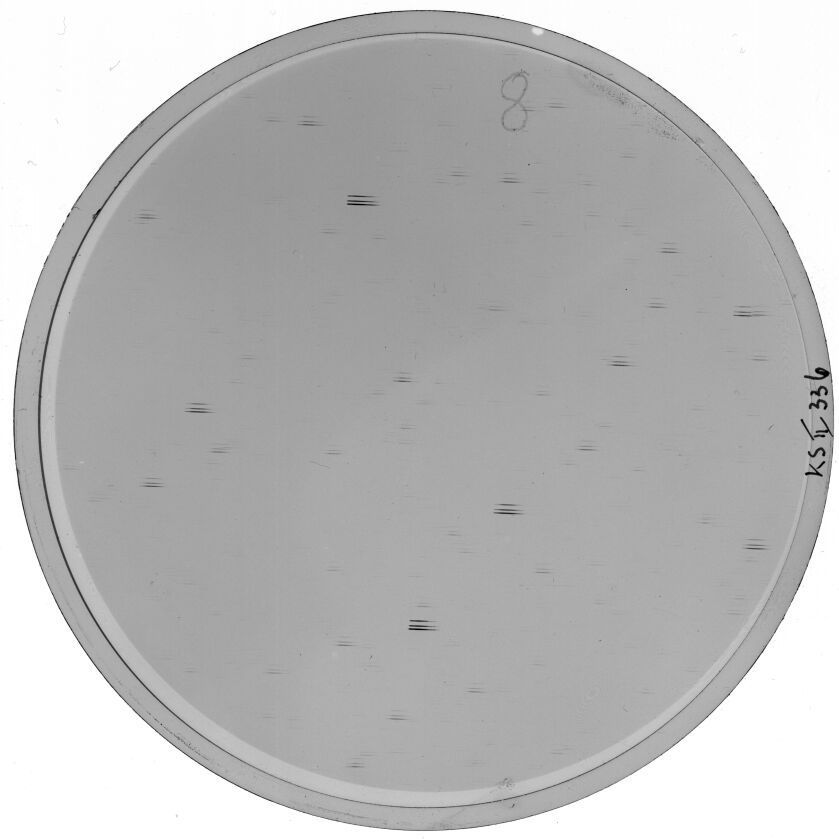 Plate preview
