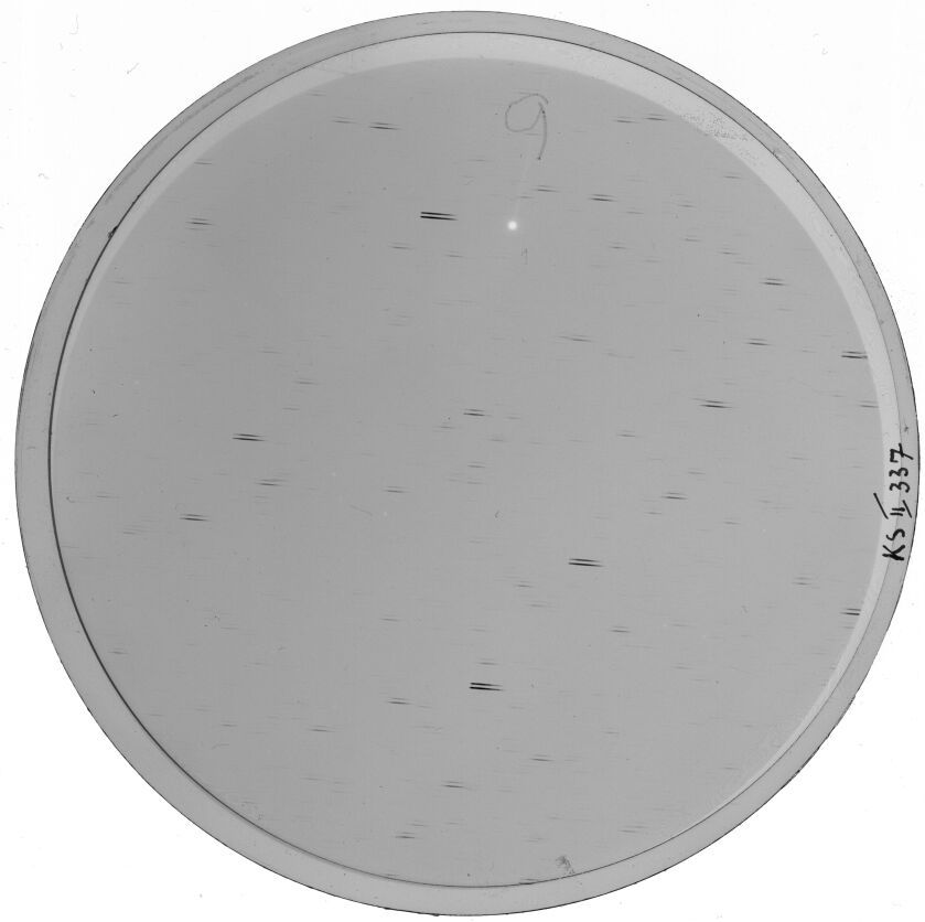 Plate preview
