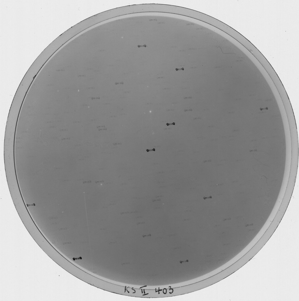 Plate preview
