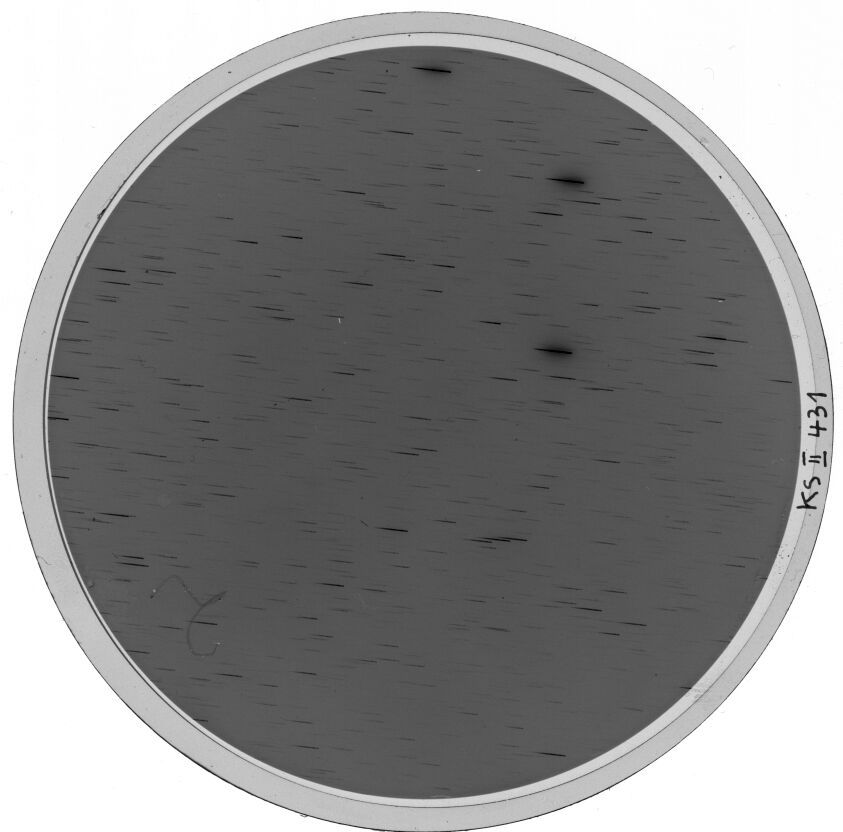 Plate preview
