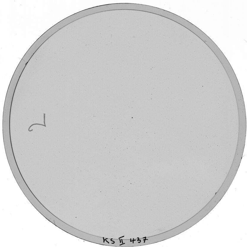 Plate preview