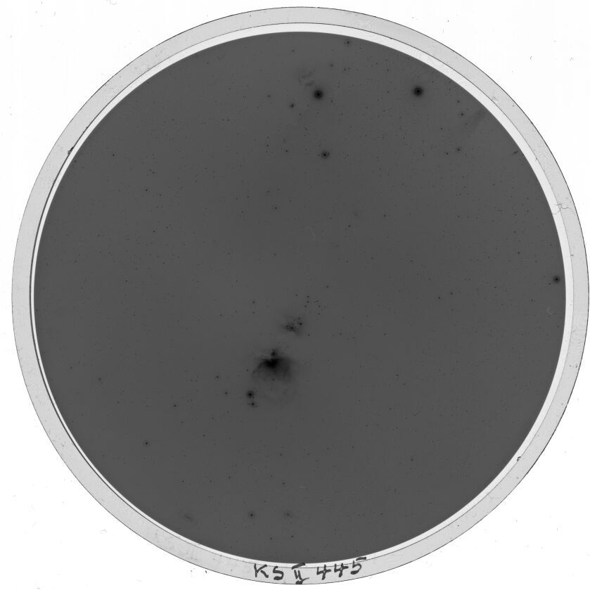 Plate preview