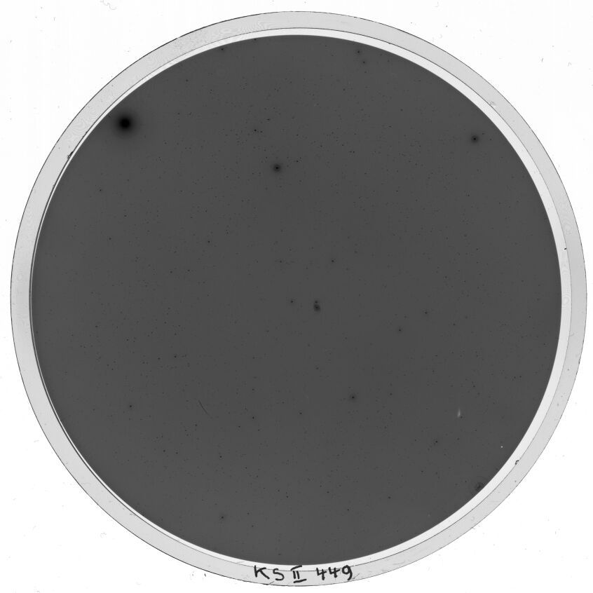 Plate preview