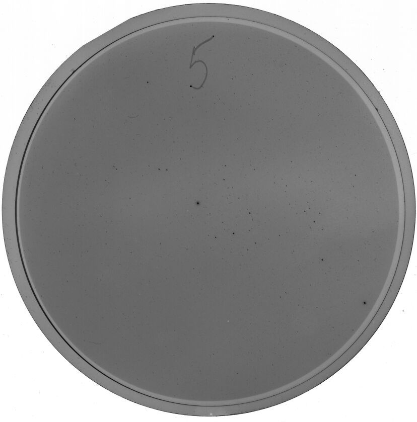 Plate preview