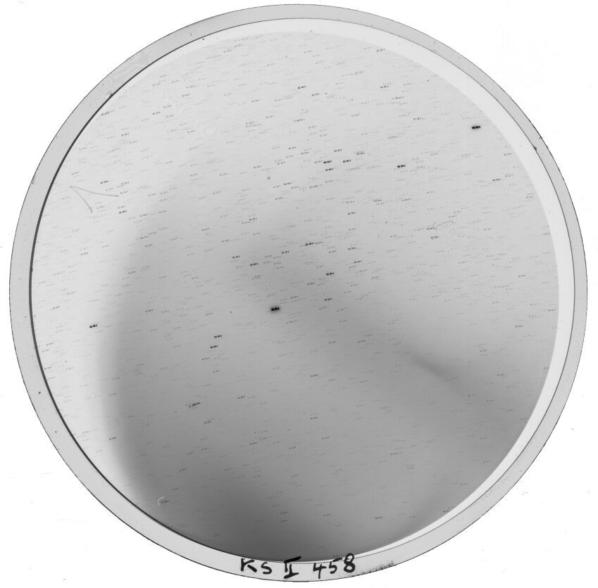 Plate preview