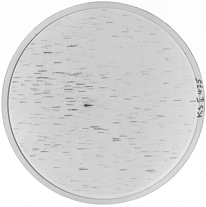 Plate preview