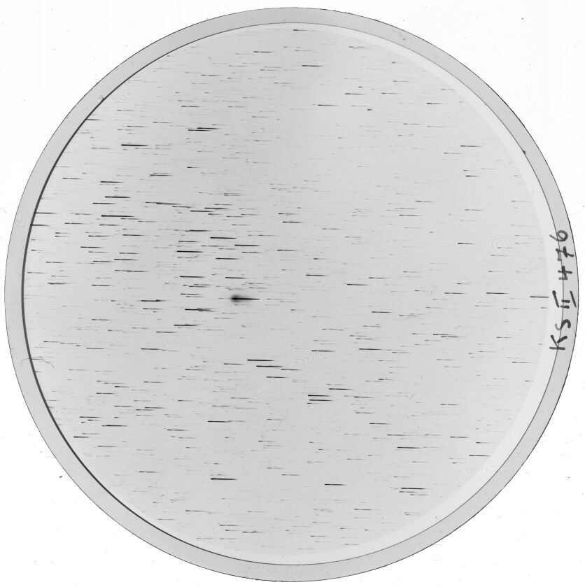 Plate preview