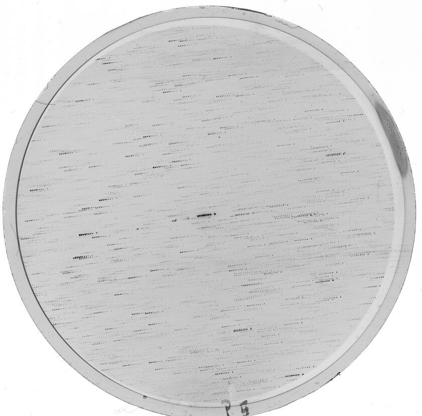 Plate preview