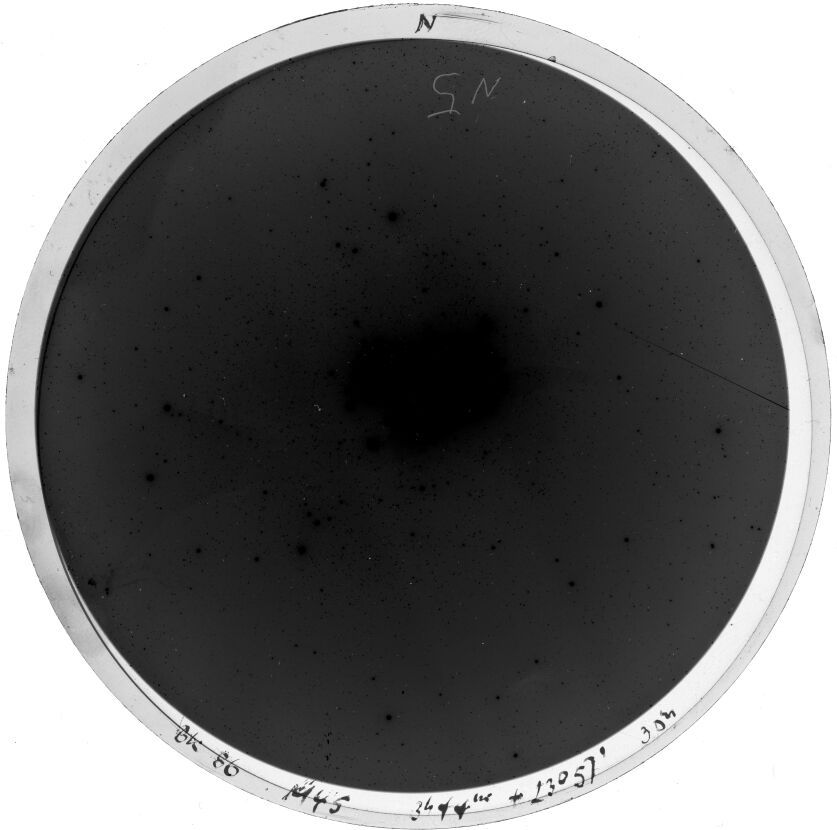 Plate preview