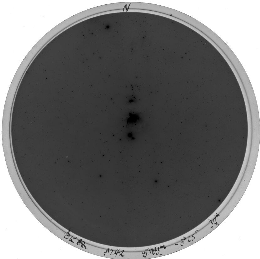 Plate preview