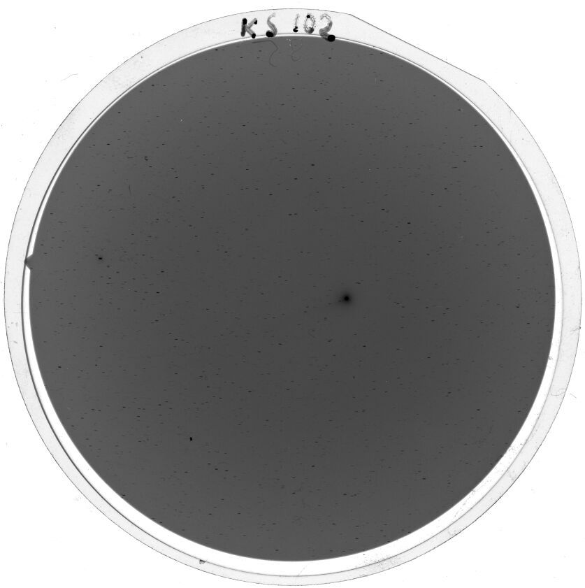 Plate preview