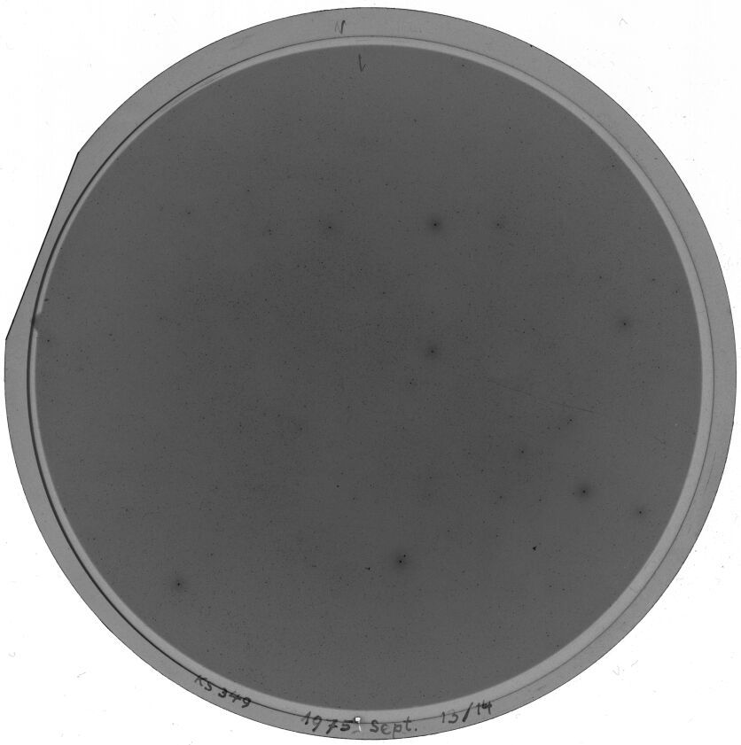 Plate preview