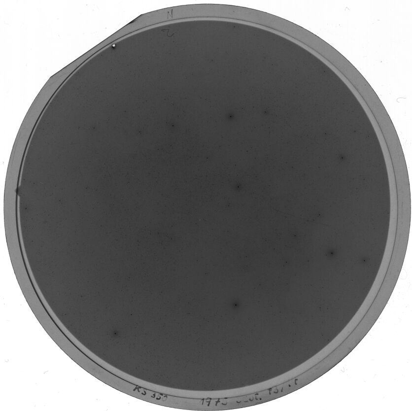 Plate preview