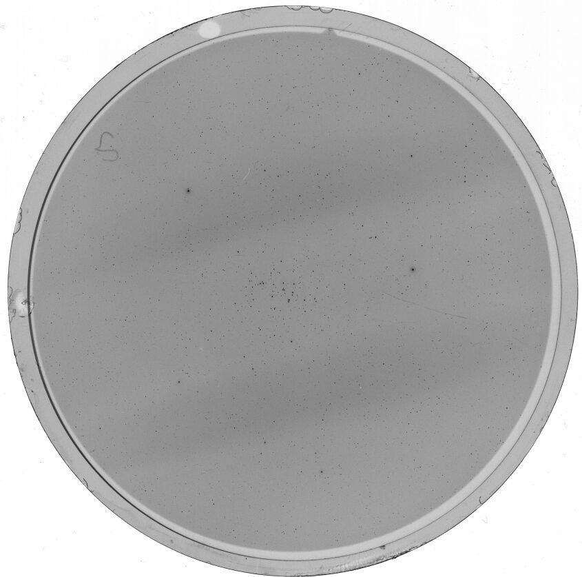 Plate preview