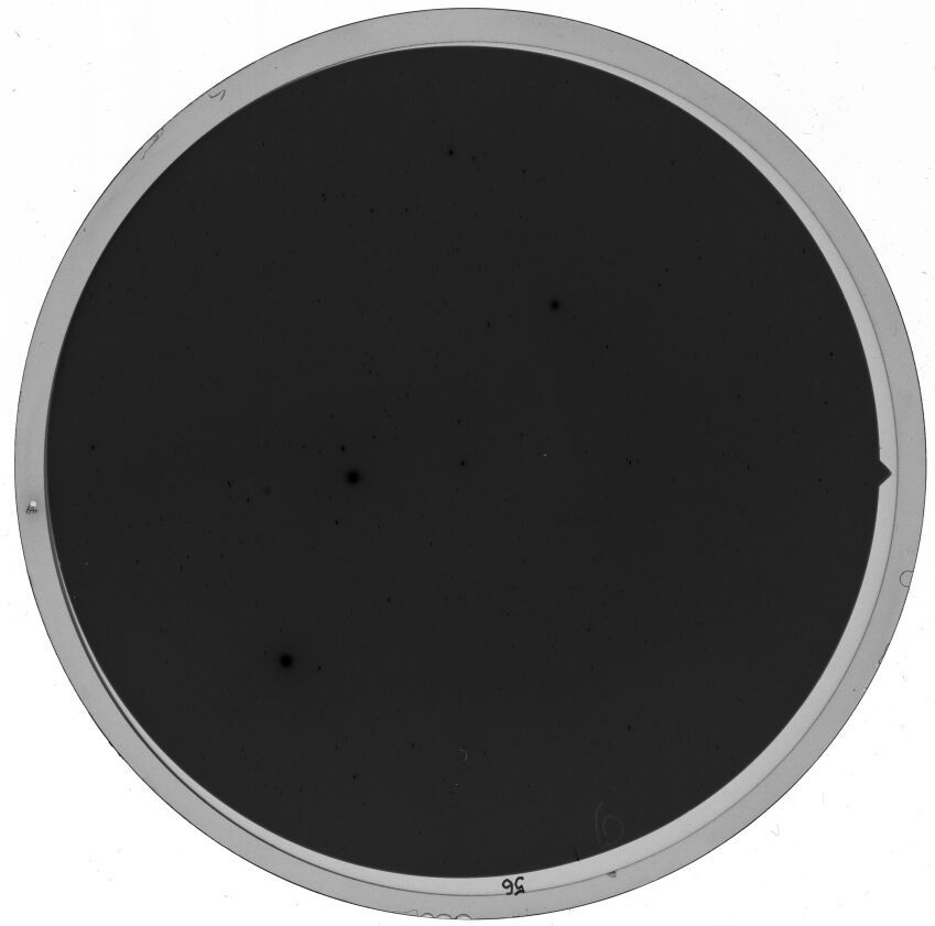 Plate preview