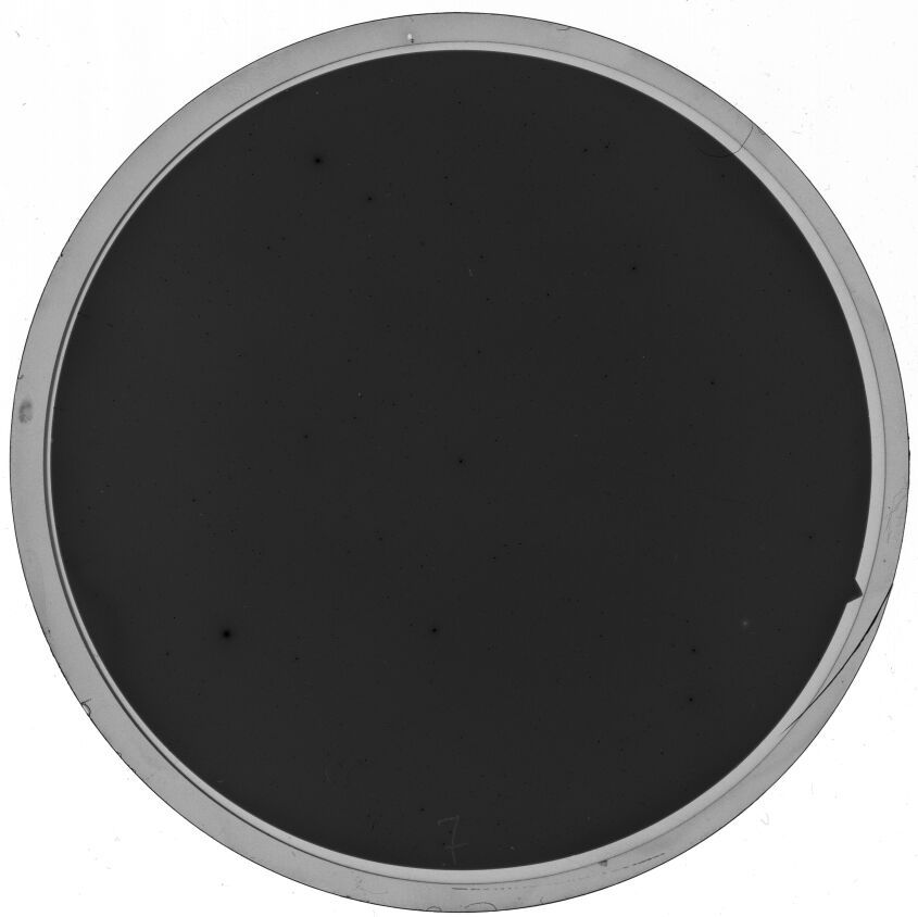 Plate preview