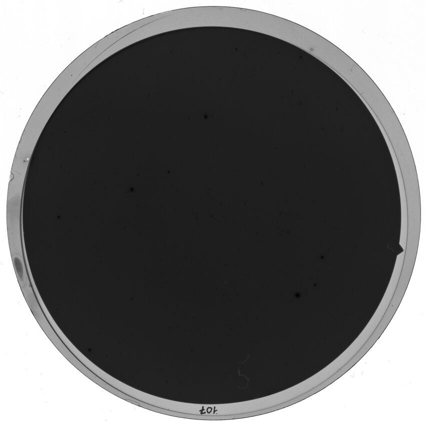 Plate preview