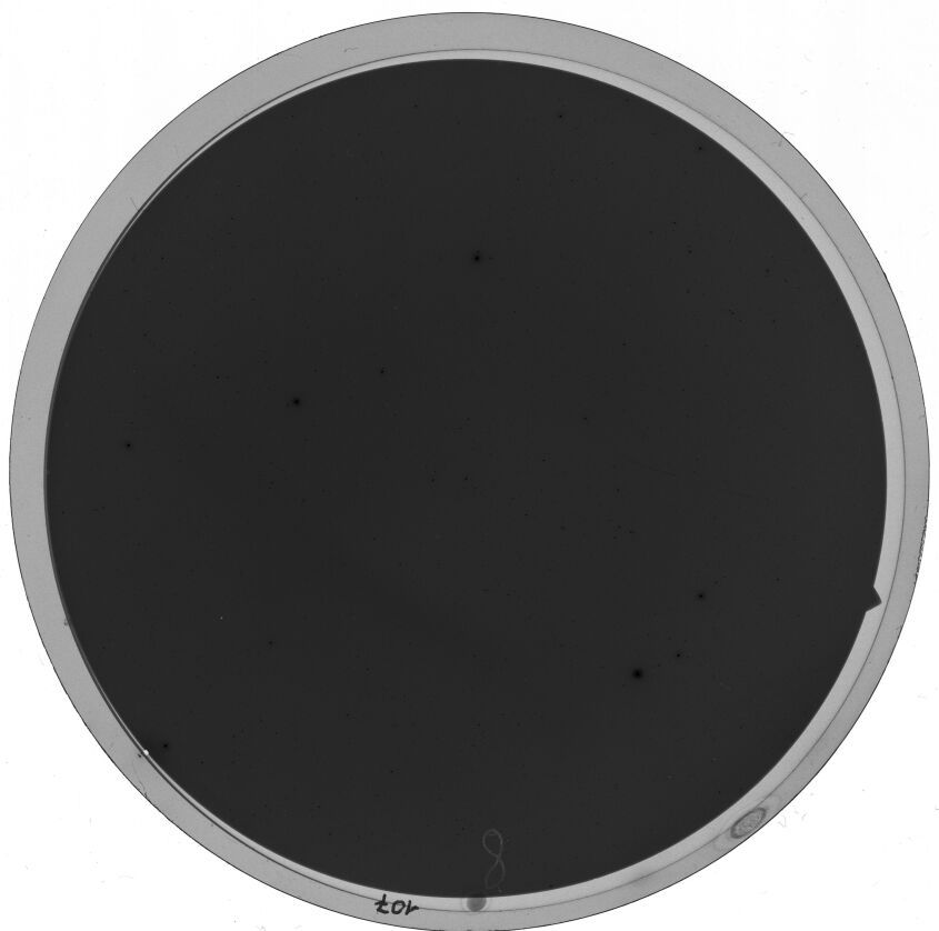 Plate preview