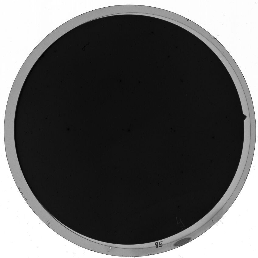 Plate preview