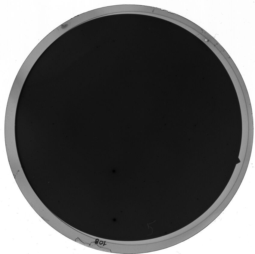 Plate preview