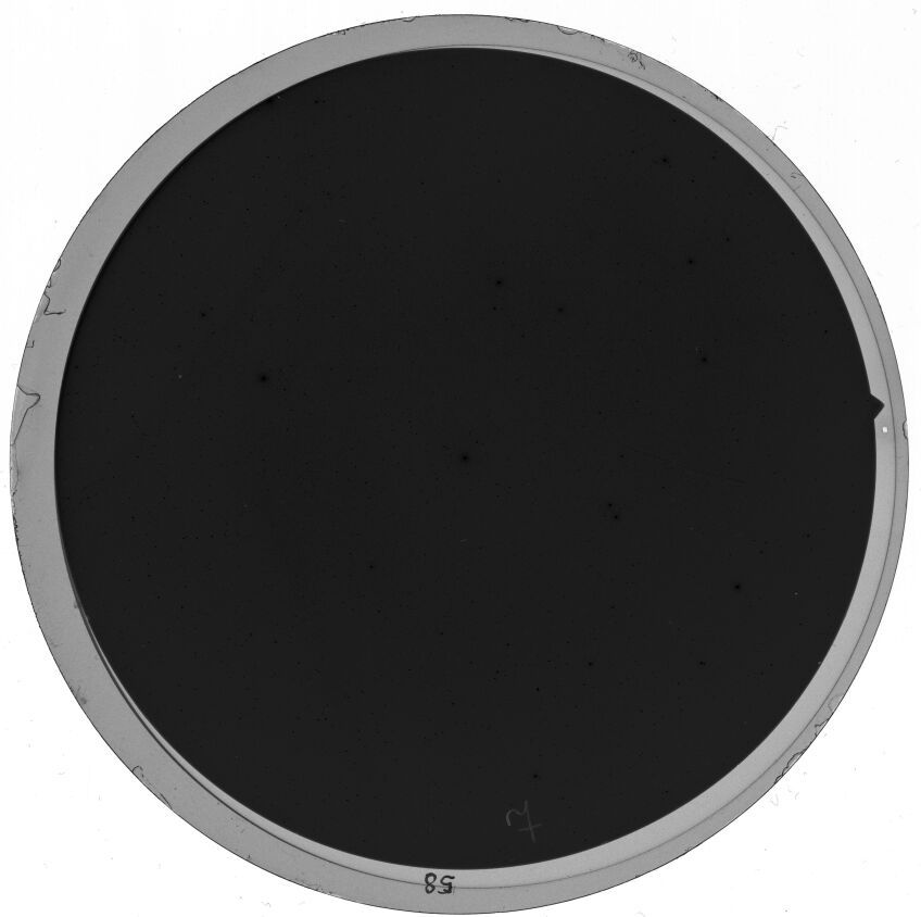 Plate preview