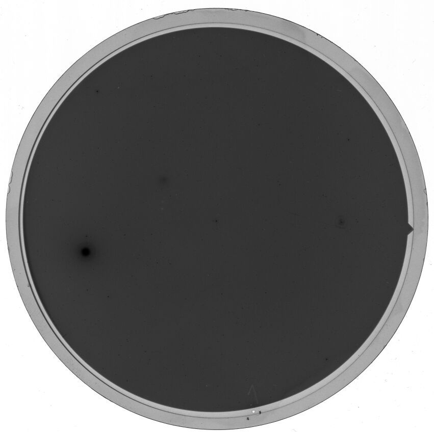 Plate preview