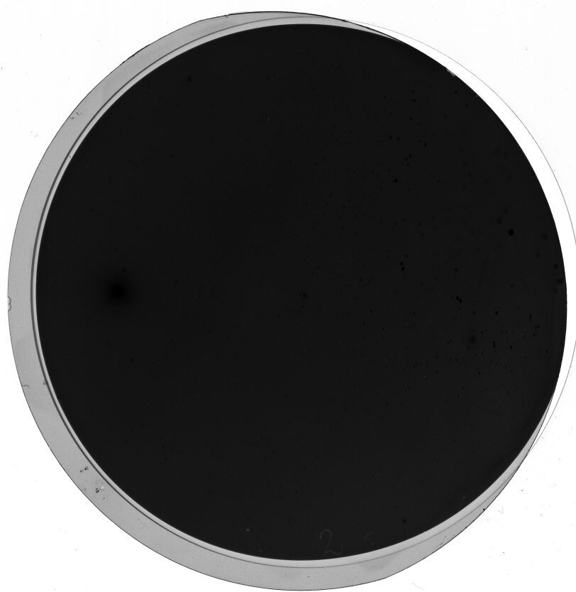 Plate preview
