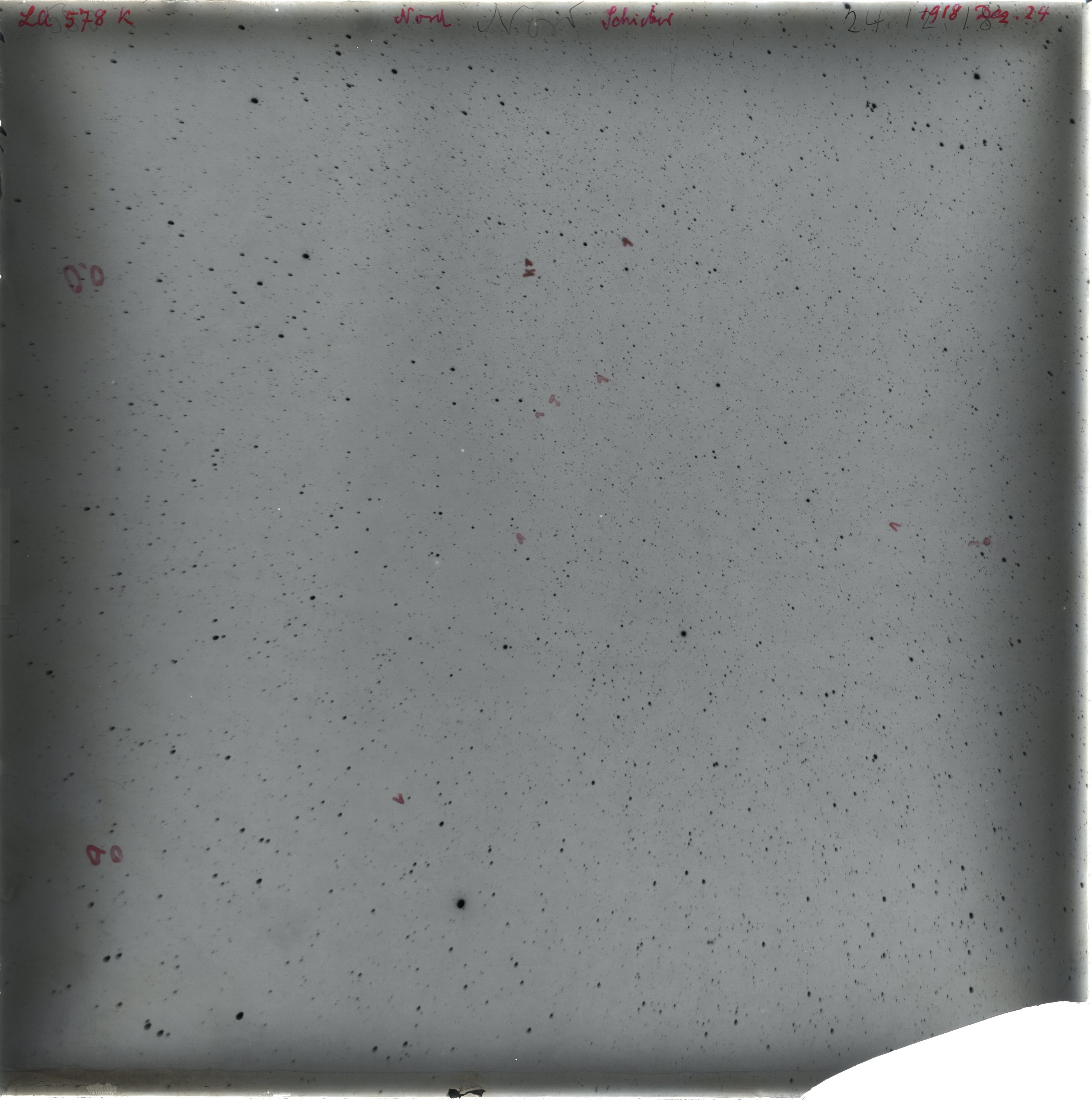Plate preview
