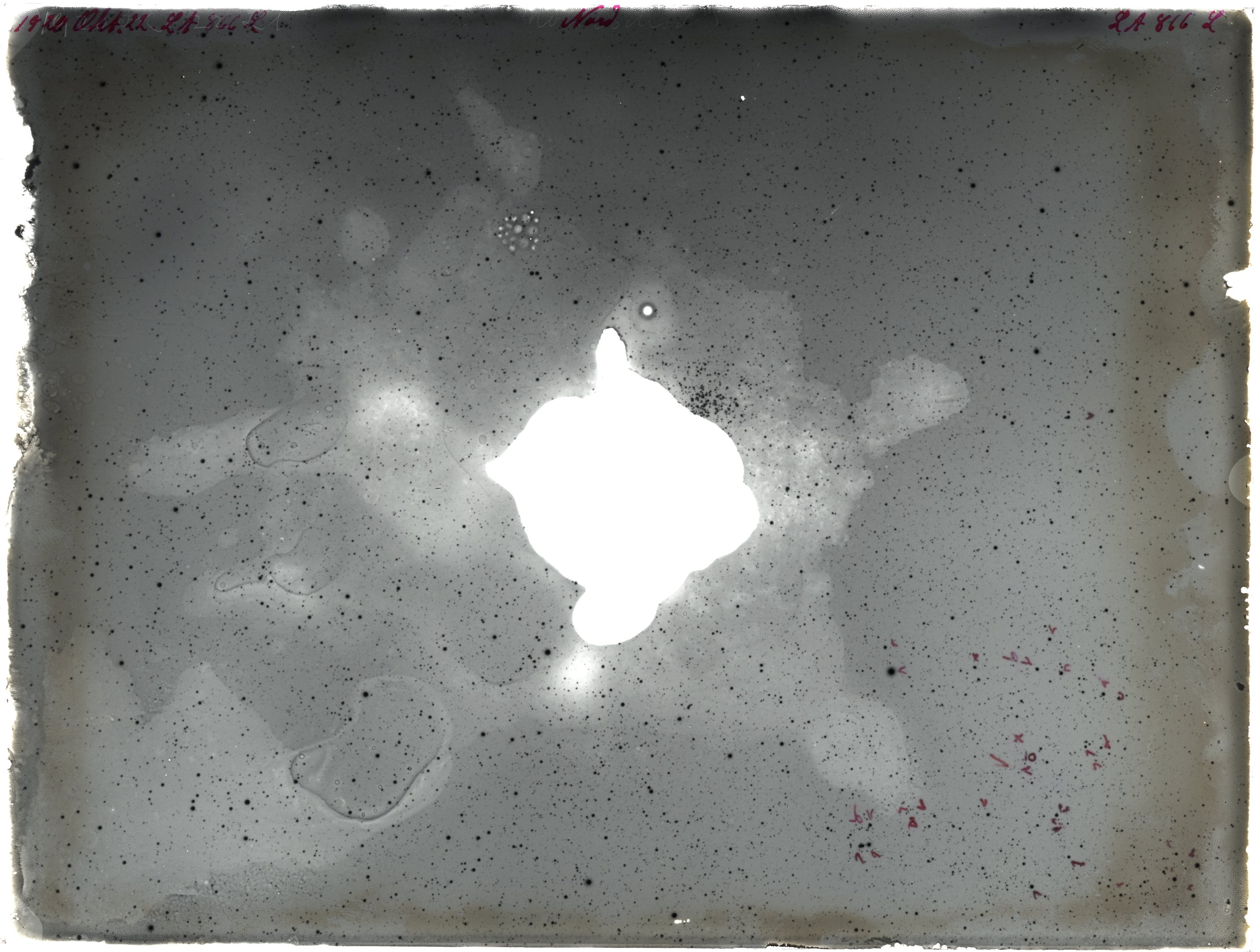 Plate preview