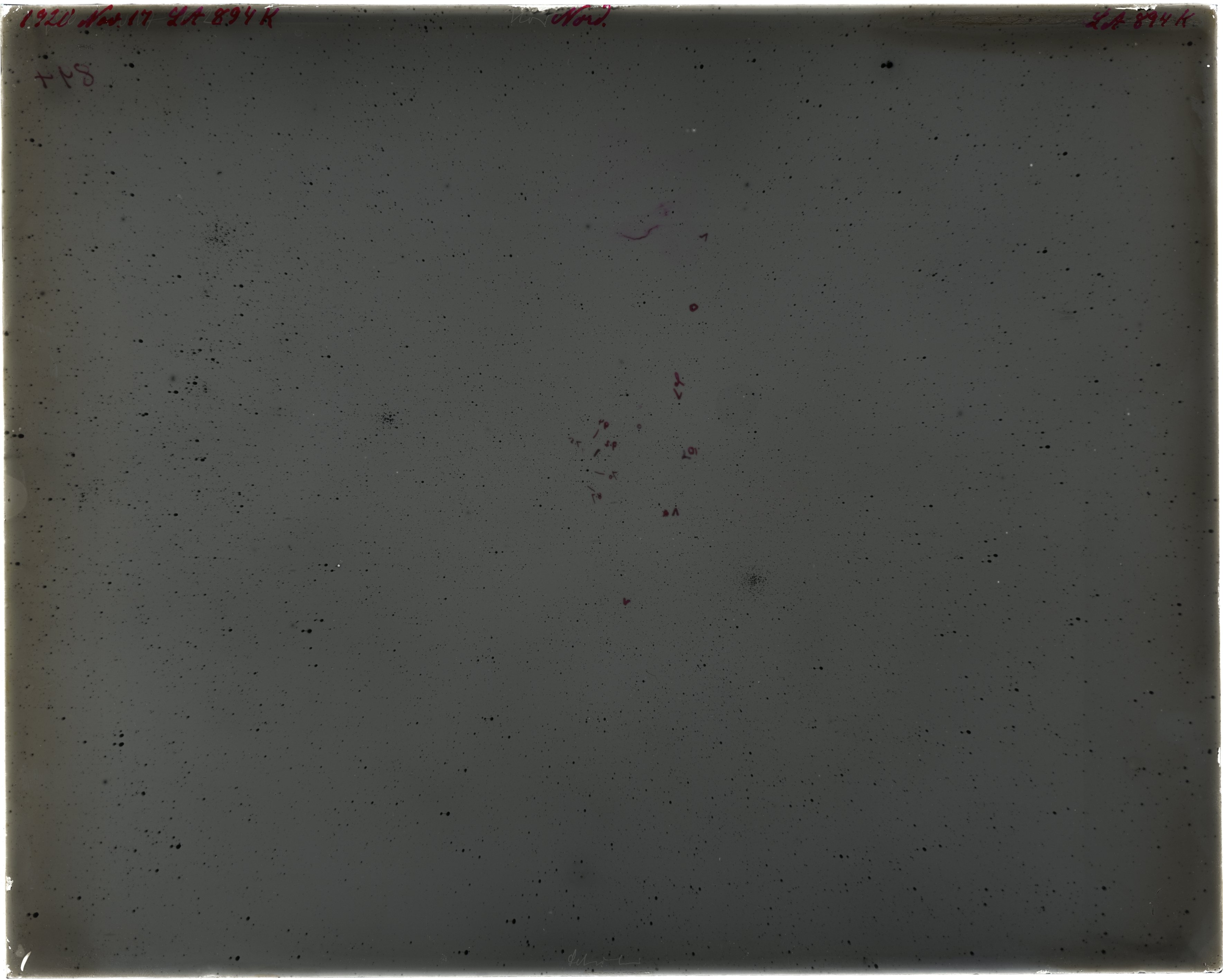 Plate preview