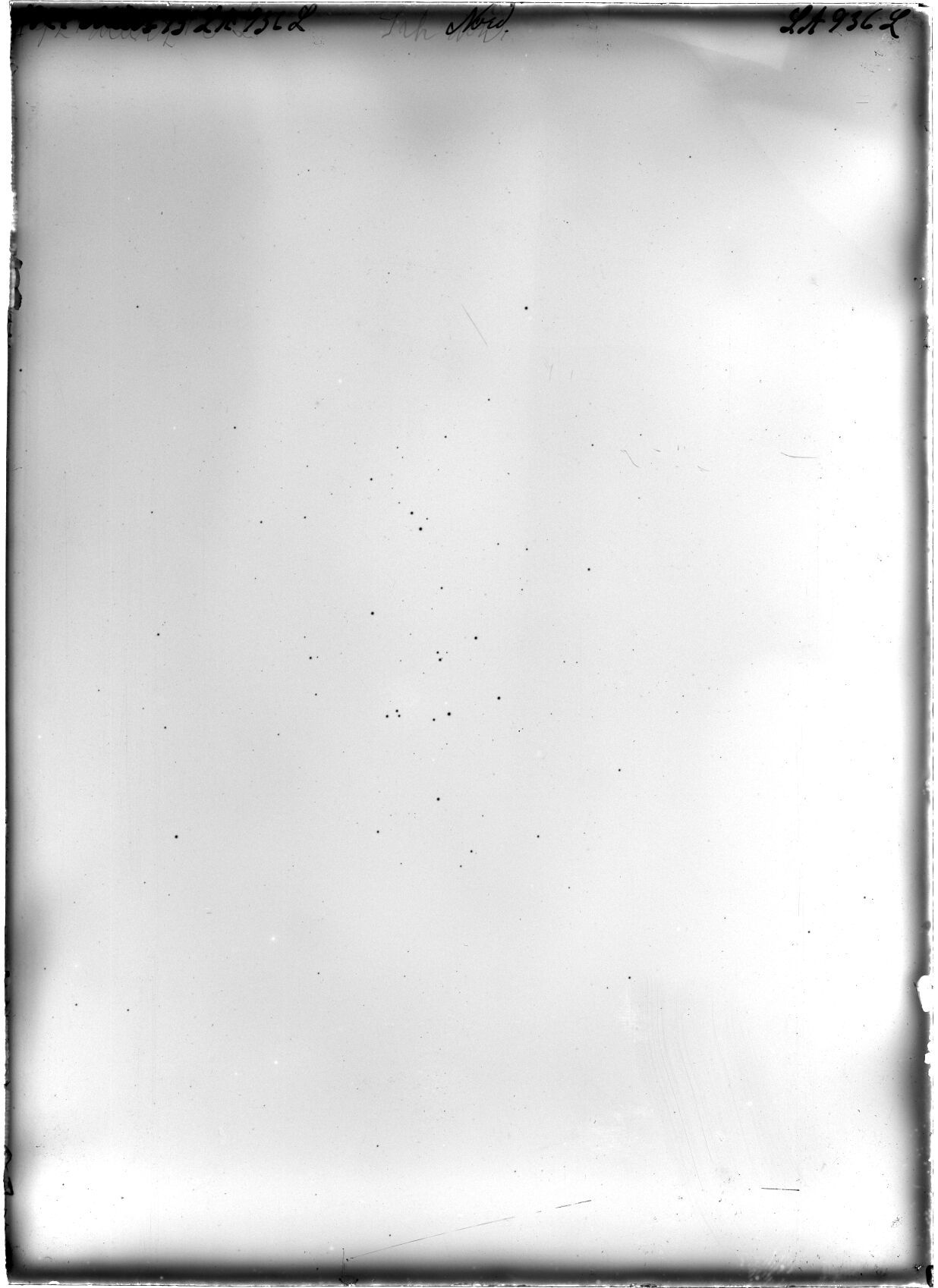 Plate preview