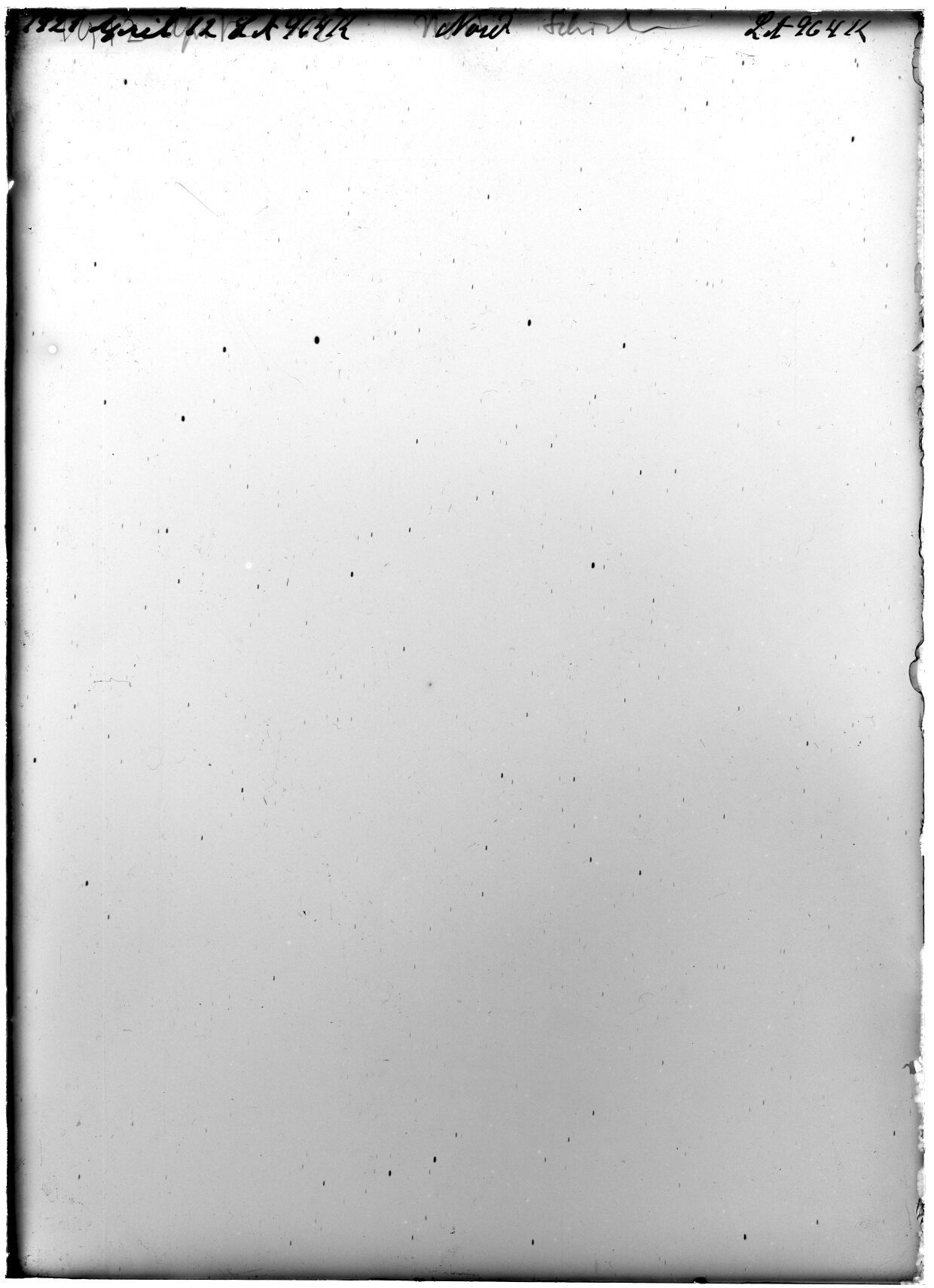 Plate preview