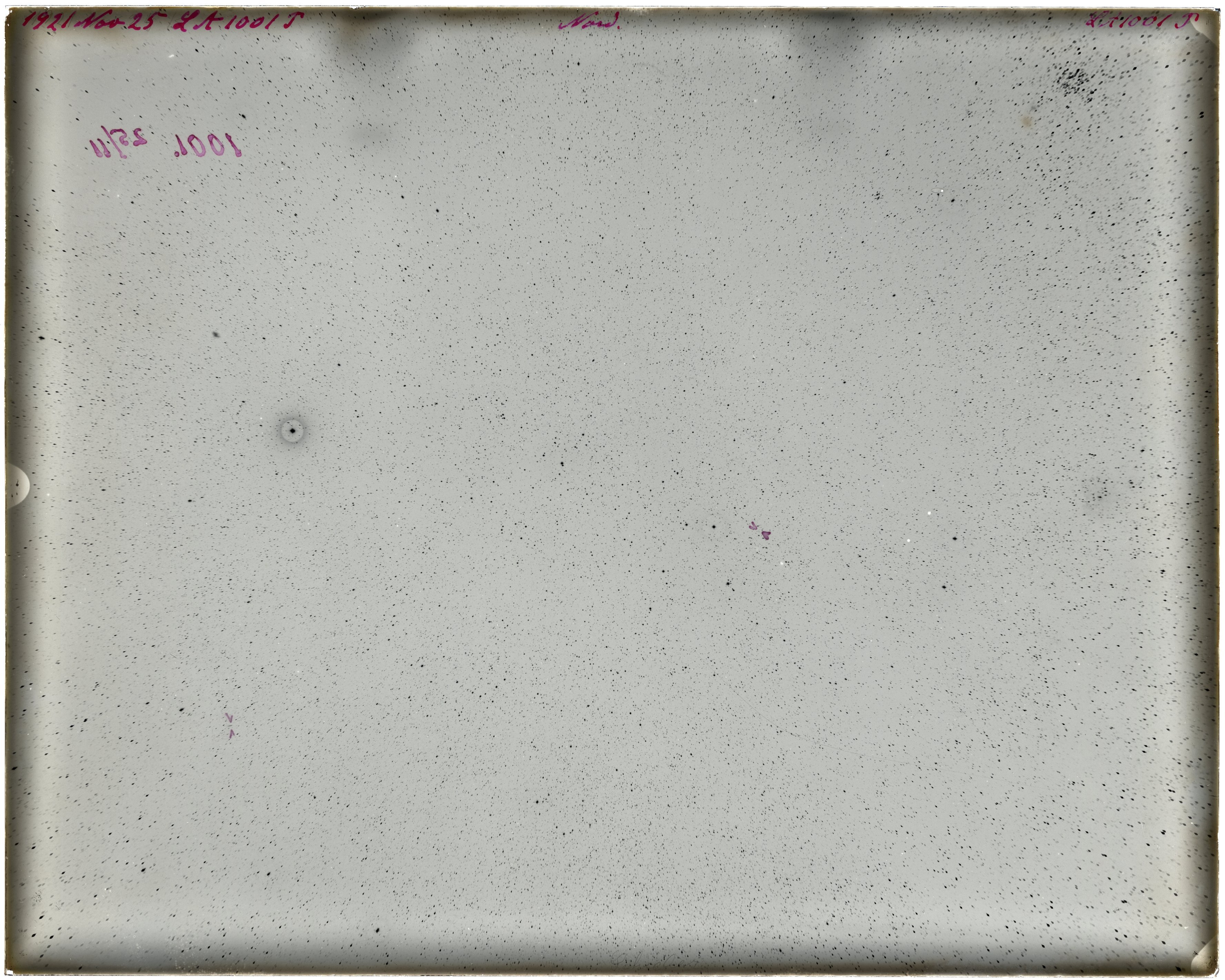 Plate preview