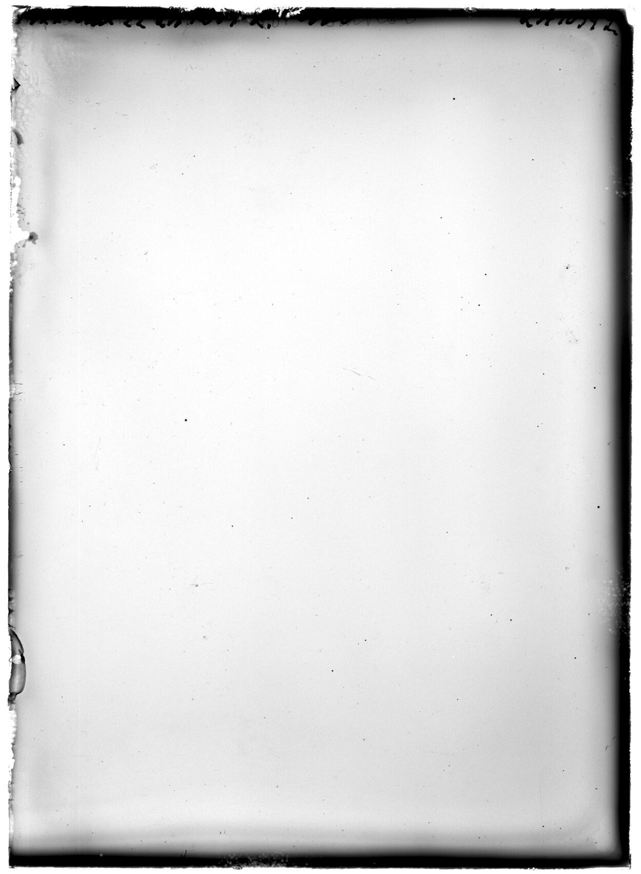 Plate preview