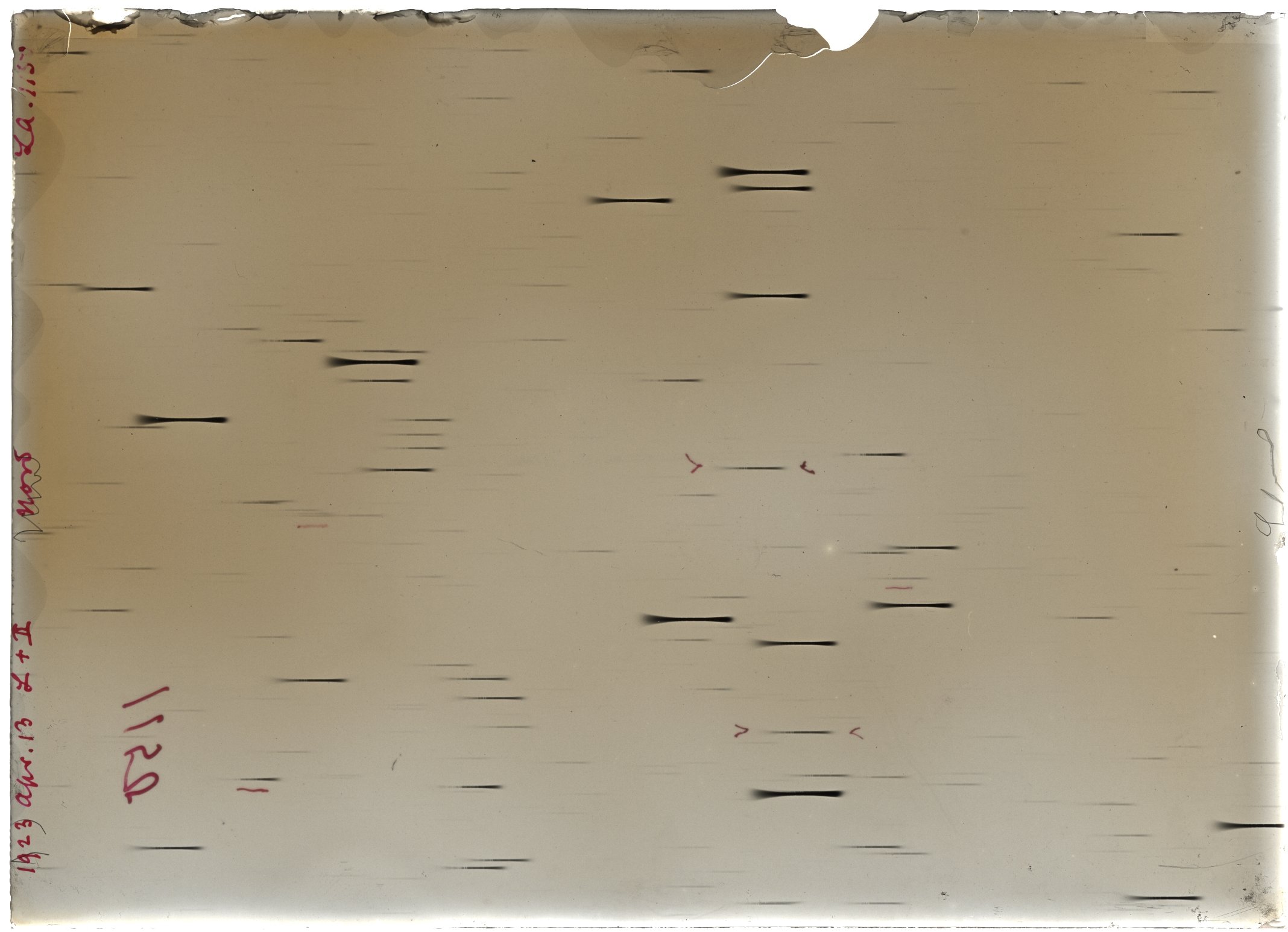 Plate preview