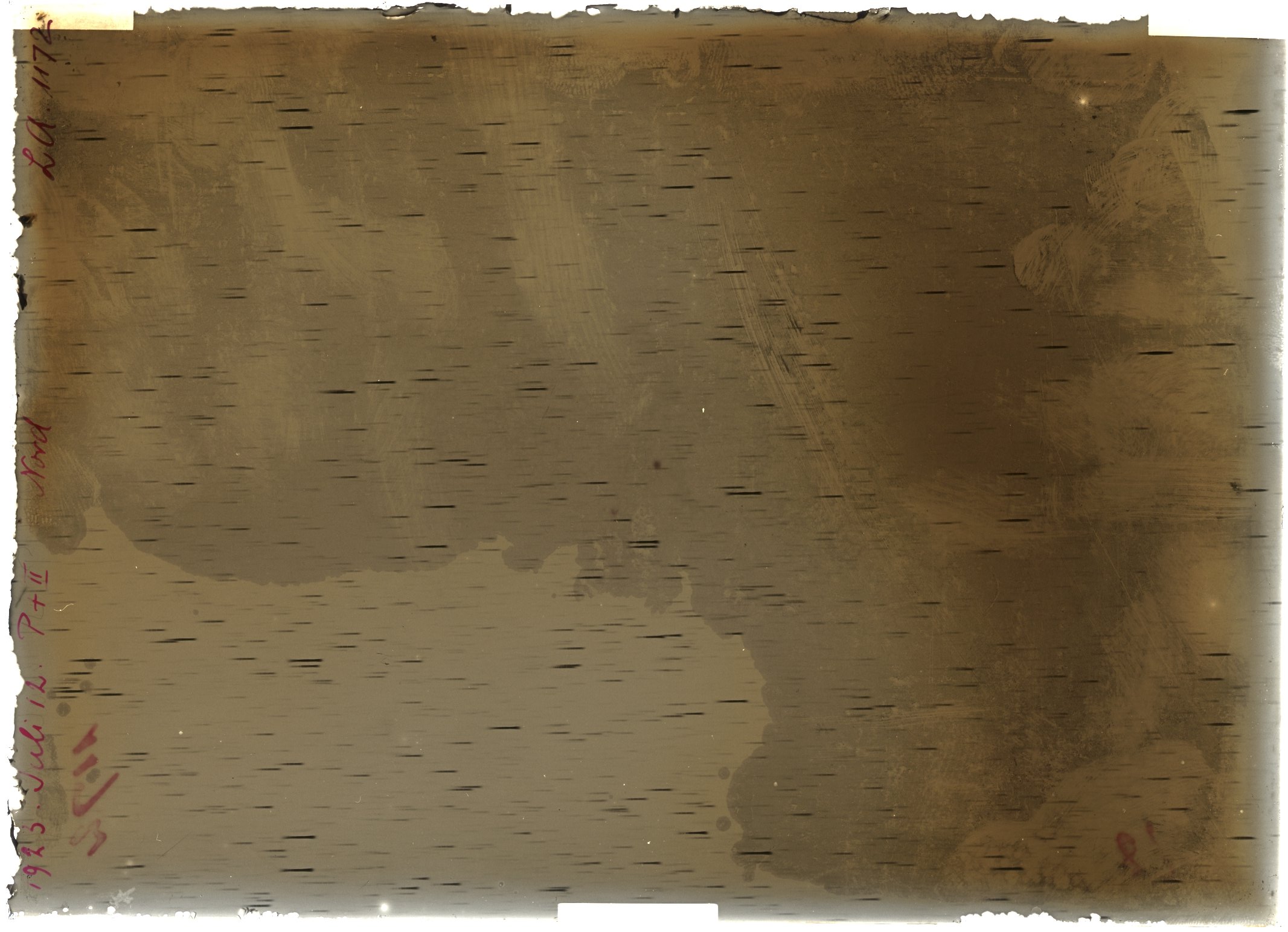 Plate preview