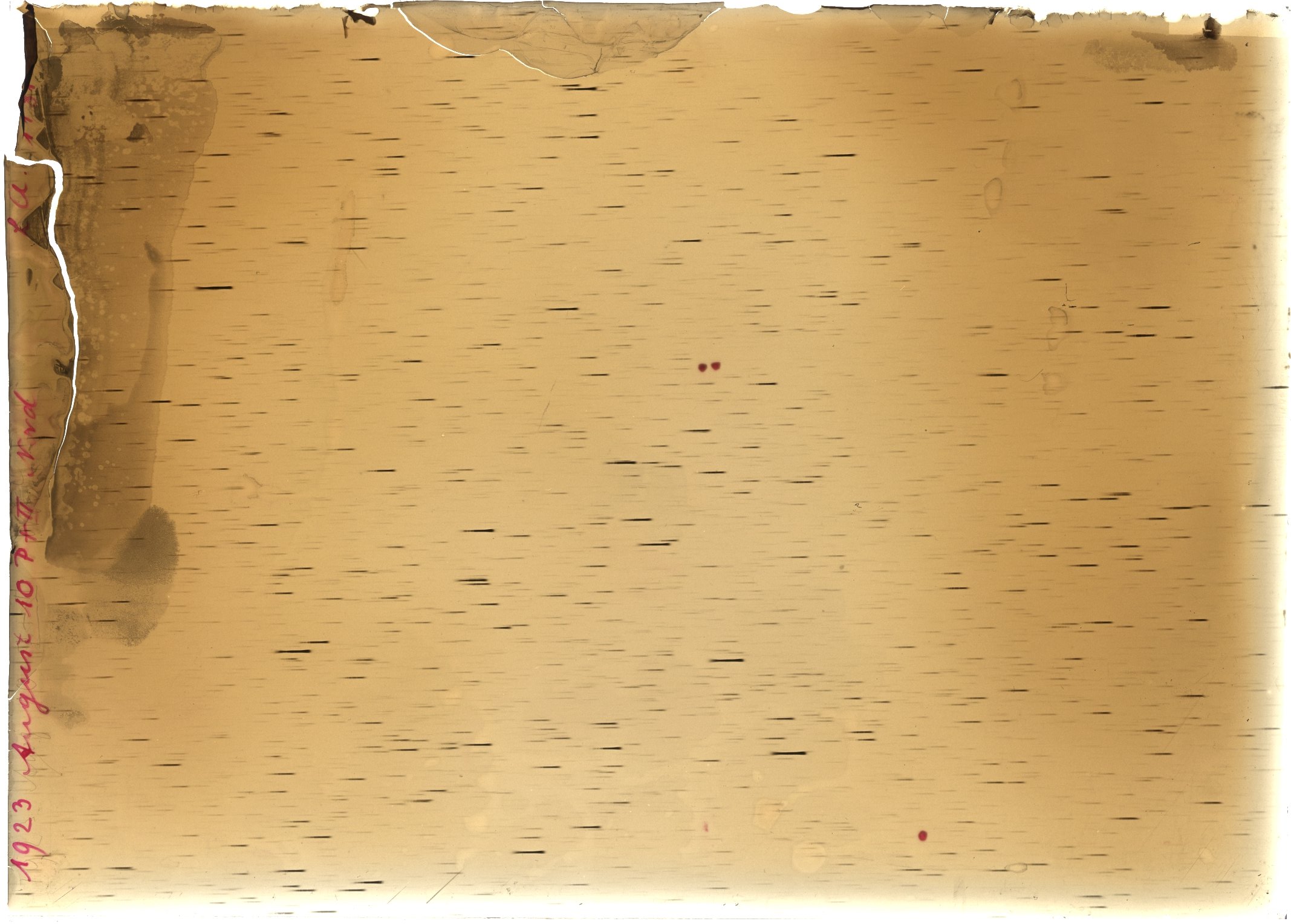 Plate preview