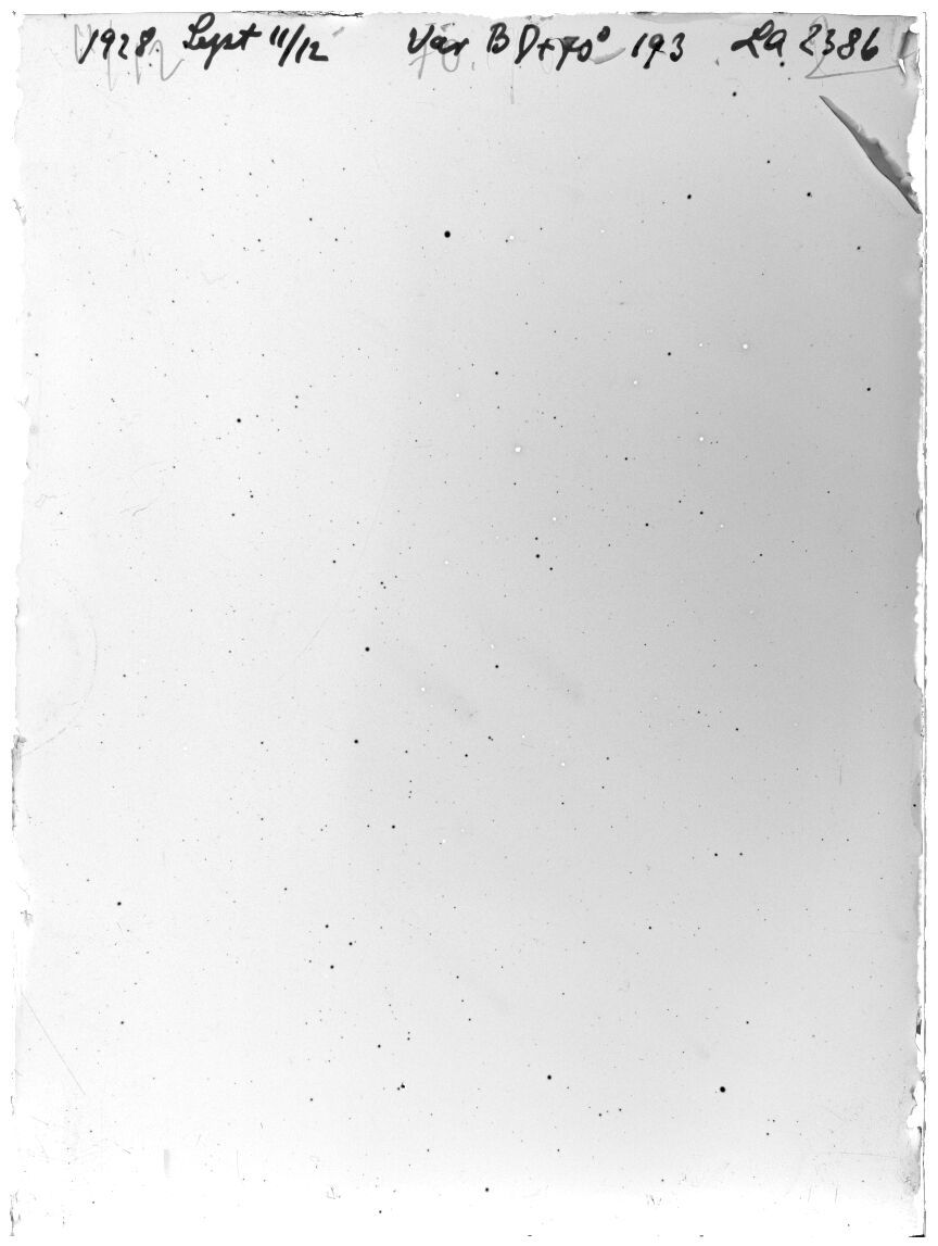 Plate preview