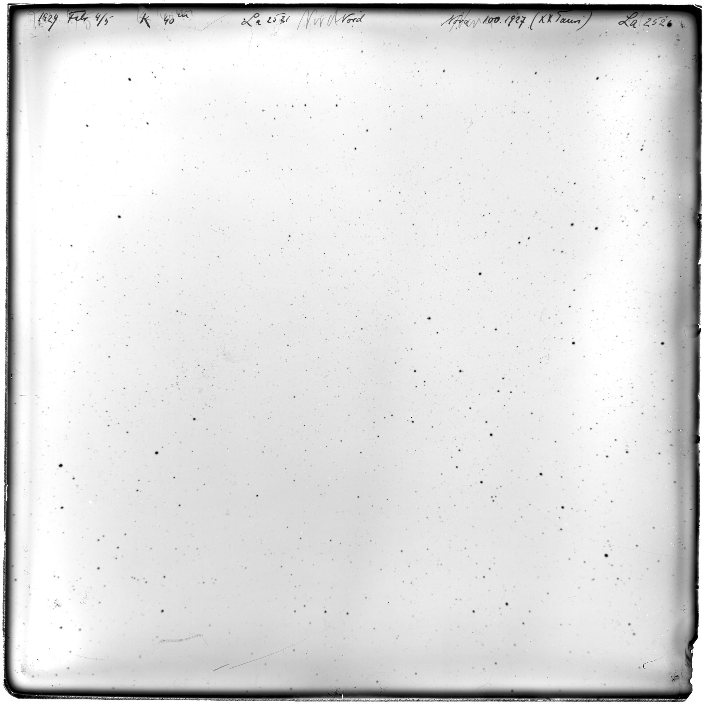 Plate preview