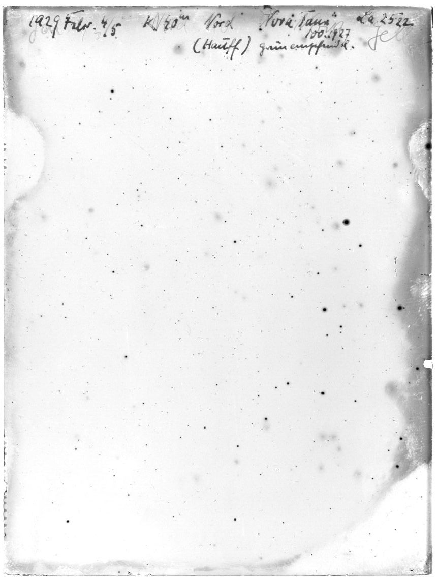 Plate preview