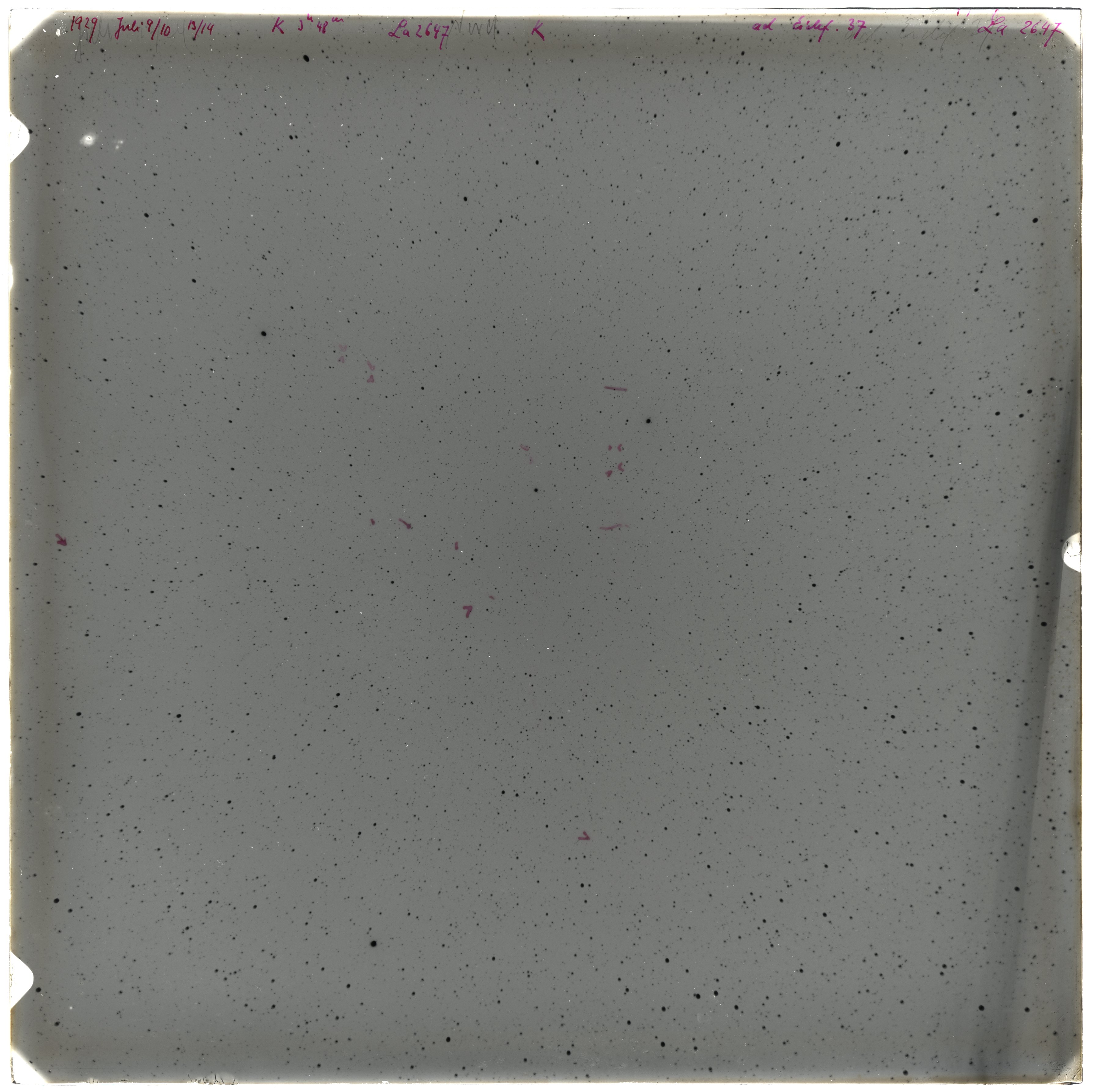 Plate preview