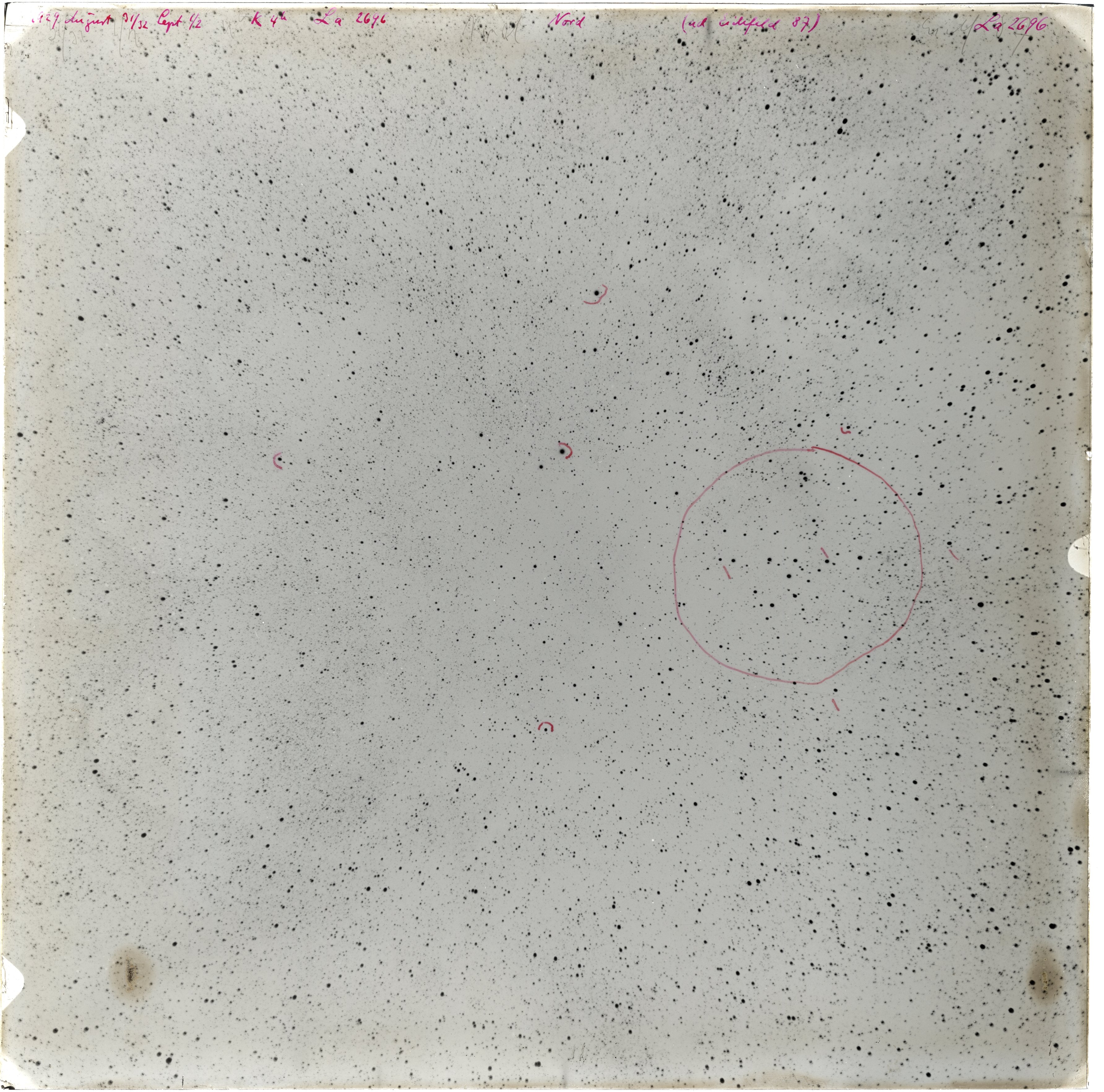 Plate preview