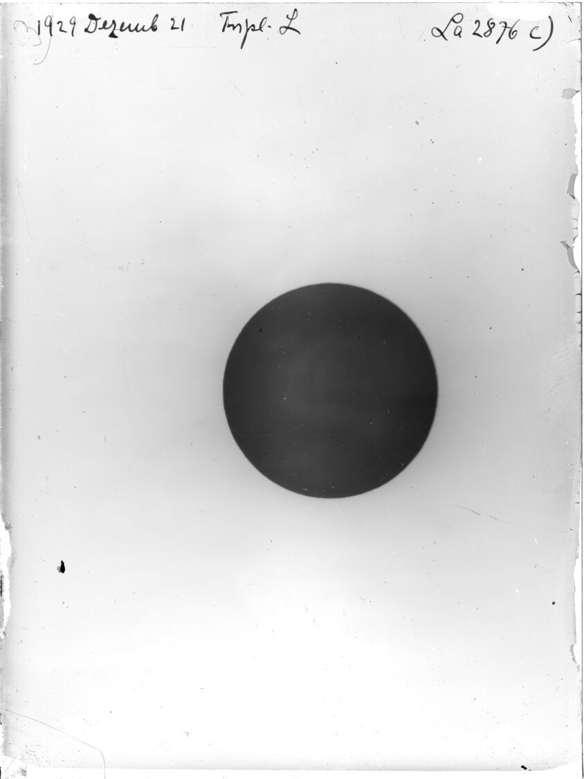 Plate preview
