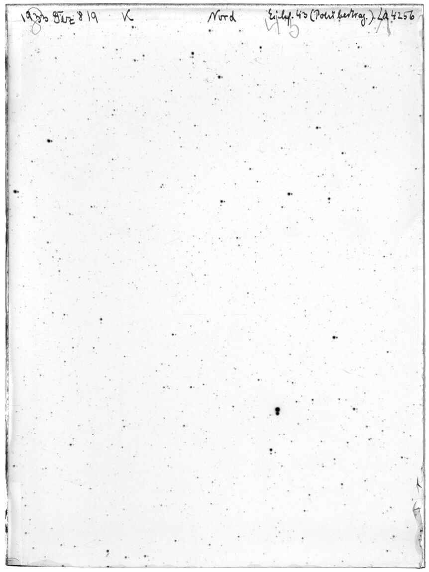 Plate preview